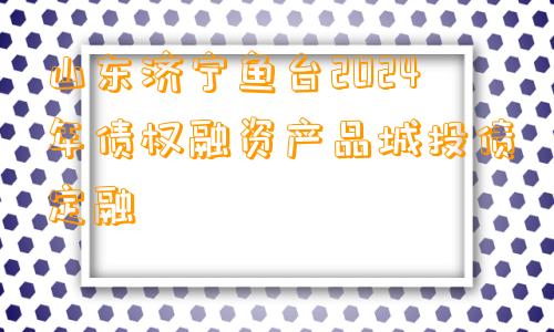 山东济宁鱼台2024年债权融资产品城投债定融