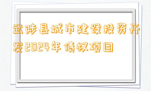 武陟县城市建设投资开发2024年债权项目