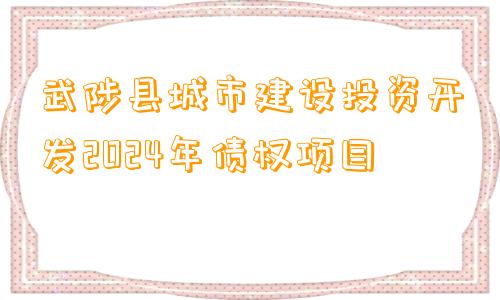 武陟县城市建设投资开发2024年债权项目