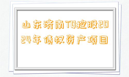 山东济南TQ控股2024年债权资产项目