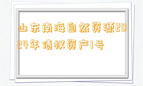 山东南海自然资源2024年债权资产1号