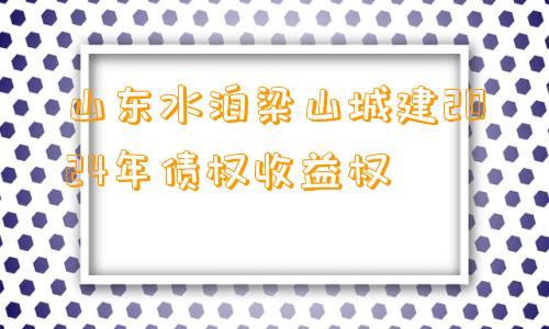 山东水泊梁山城建2024年债权收益权