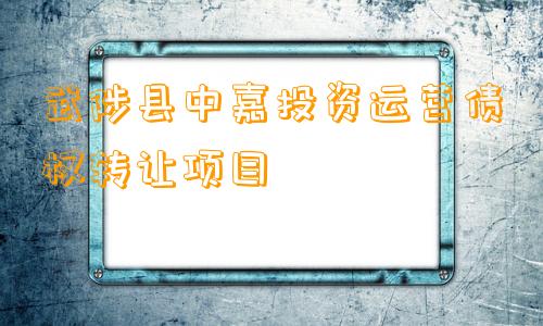 武陟县中嘉投资运营债权转让项目