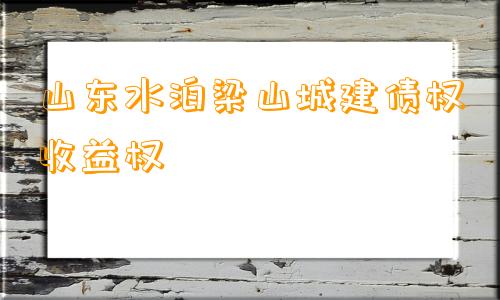 山东水泊梁山城建债权收益权