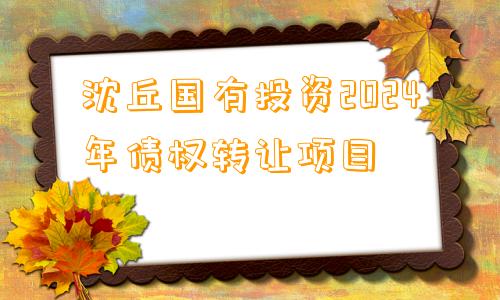 沈丘国有投资2024年债权转让项目