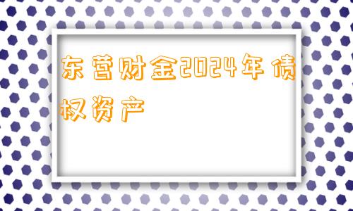 东营财金2024年债权资产