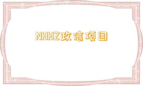 NHHZ政信项目