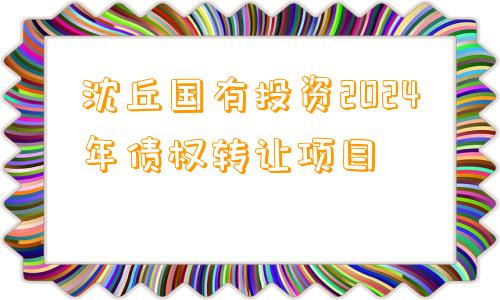 沈丘国有投资2024年债权转让项目