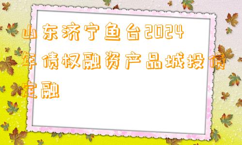 山东济宁鱼台2024年债权融资产品城投债定融