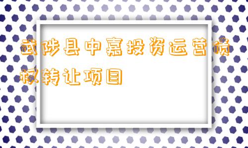 武陟县中嘉投资运营债权转让项目