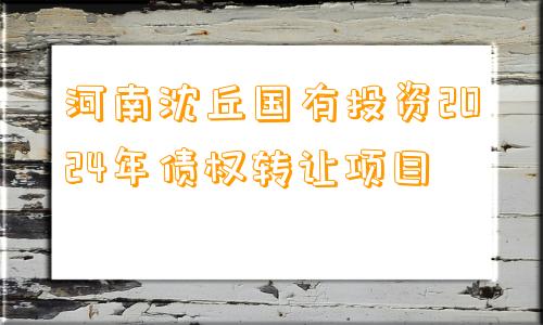 河南沈丘国有投资2024年债权转让项目