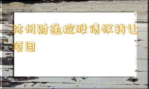 林州财通控股债权转让项目