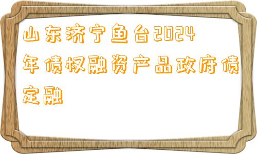 山东济宁鱼台2024年债权融资产品政府债定融