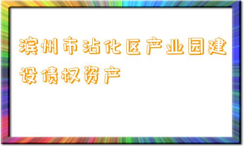 滨州市沾化区产业园建设债权资产