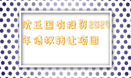 沈丘国有投资2024年债权转让项目