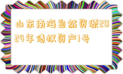 山东南海自然资源2024年债权资产1号