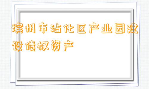 滨州市沾化区产业园建设债权资产