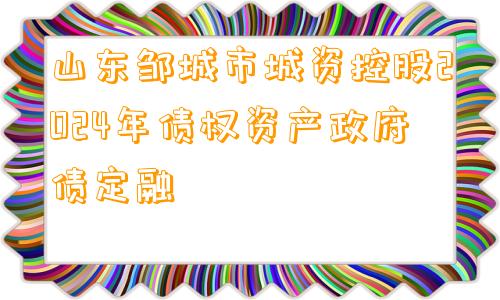 山东邹城市城资控股2024年债权资产政府债定融