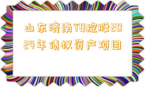 山东济南TQ控股2024年债权资产项目