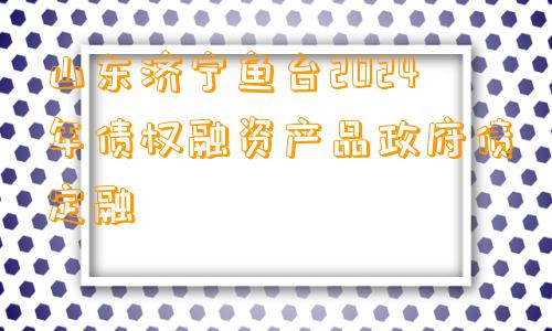 山东济宁鱼台2024年债权融资产品政府债定融