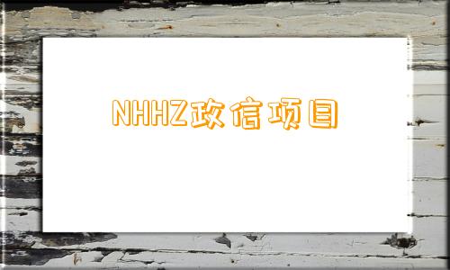 NHHZ政信项目