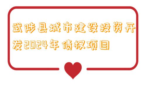 武陟县城市建设投资开发2024年债权项目