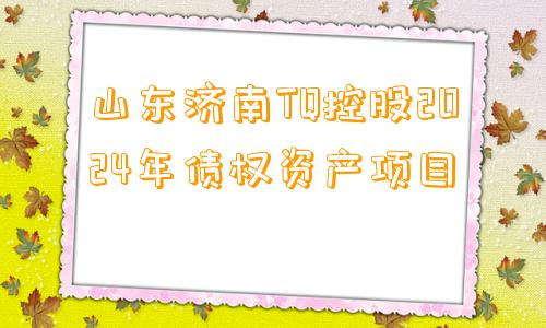 山东济南TQ控股2024年债权资产项目