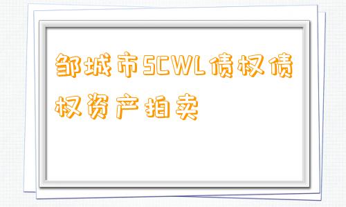 邹城市SCWL债权债权资产拍卖