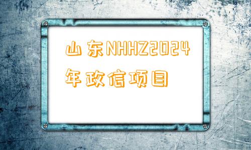 山东NHHZ2024年政信项目