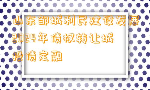 山东邹城利民建设发展2024年债权转让城投债定融