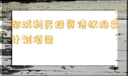 邹城利民投资债权拍卖计划项目