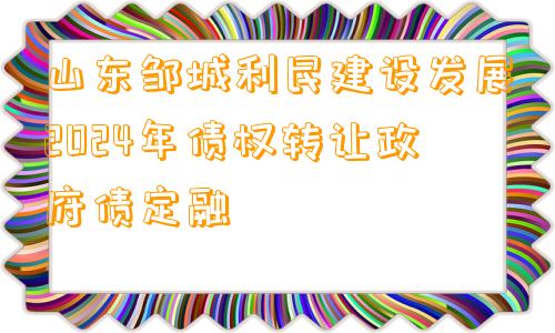 山东邹城利民建设发展2024年债权转让政府债定融