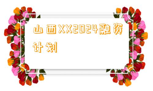 山西XX2024融资计划