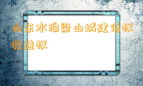 山东水泊梁山城建债权收益权