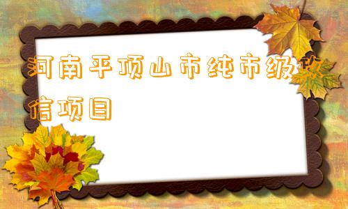 河南平顶山市纯市级政信项目