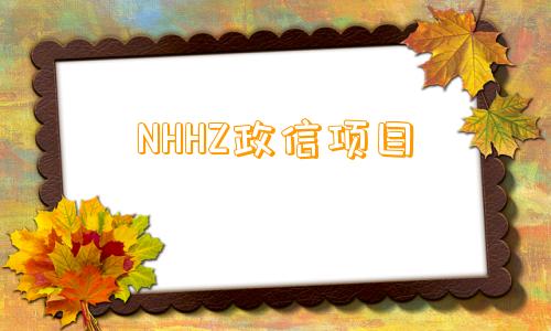 NHHZ政信项目