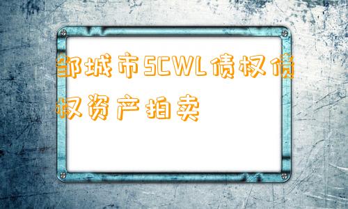 邹城市SCWL债权债权资产拍卖