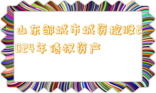 山东邹城市城资控股2024年债权资产