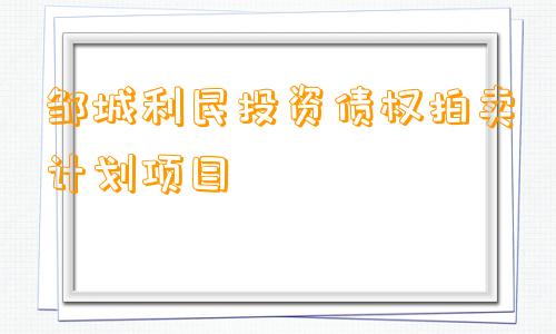 邹城利民投资债权拍卖计划项目