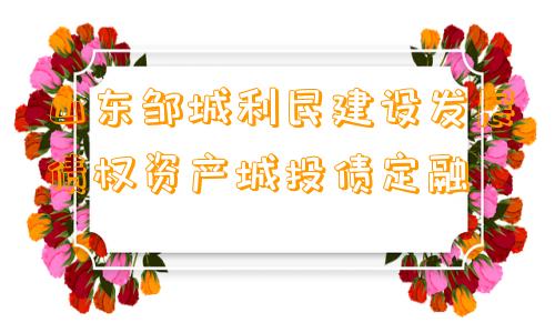 山东邹城利民建设发展债权资产城投债定融