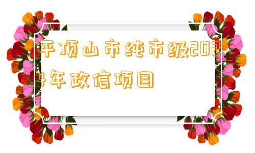平顶山市纯市级2024年政信项目