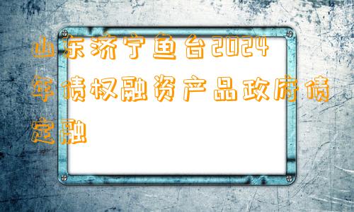 山东济宁鱼台2024年债权融资产品政府债定融