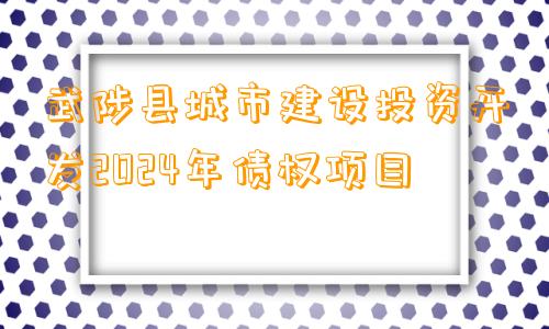 武陟县城市建设投资开发2024年债权项目