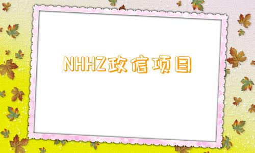 NHHZ政信项目