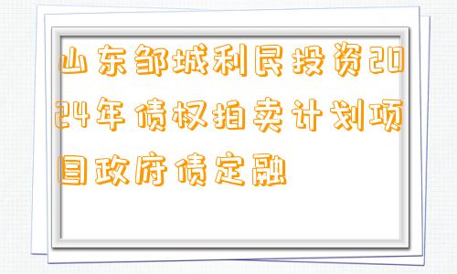 山东邹城利民投资2024年债权拍卖计划项目政府债定融