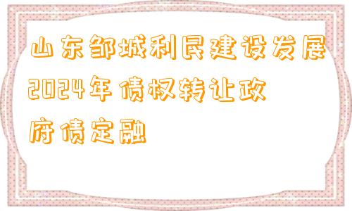 山东邹城利民建设发展2024年债权转让政府债定融