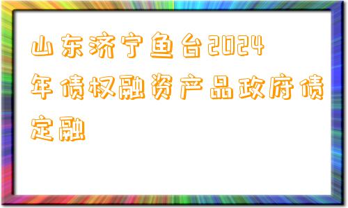 山东济宁鱼台2024年债权融资产品政府债定融