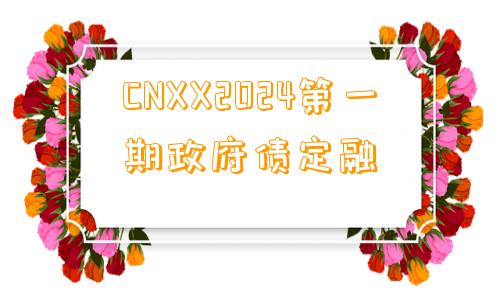 CNXX2024第一期政府债定融