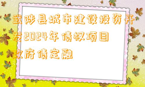 武陟县城市建设投资开发2024年债权项目政府债定融