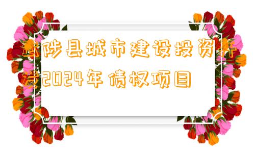 武陟县城市建设投资开发2024年债权项目